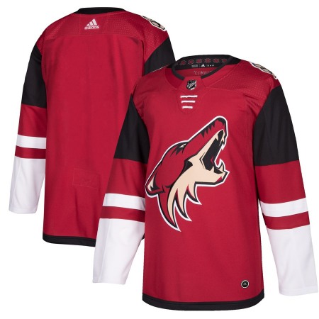 Men's Arizona Coyotes Burgundy Red 2018 Season Home Stitched NHL Jersey